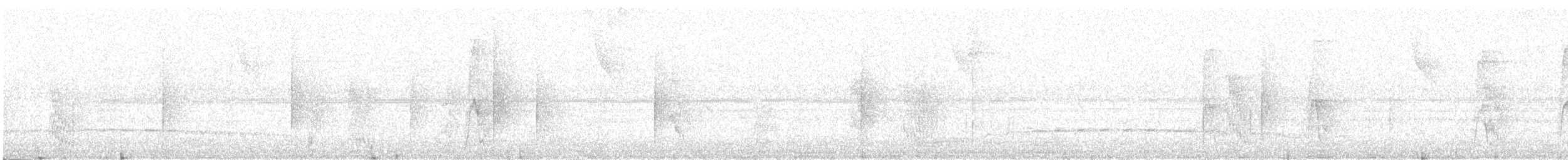 Fleckenbrust-Ameisenvogel - ML518604051