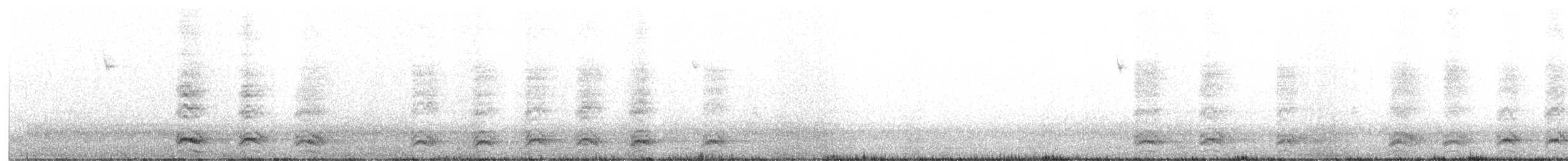 American Crow - ML518624861