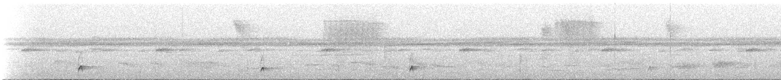 Shear-tailed Gray Tyrant - ML518638431