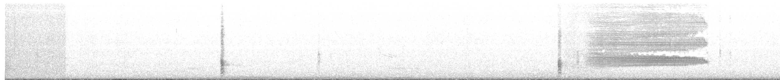 Лодкохвостый гракл - ML51866211