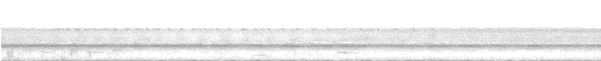 Short-tailed Antthrush - ML518666191