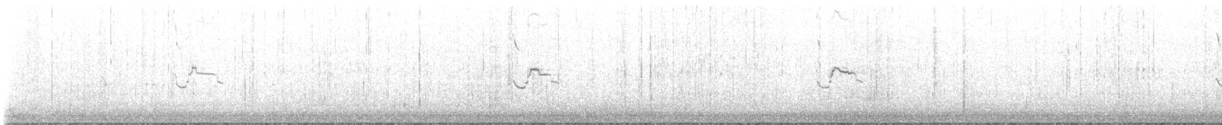 Полярная чайка (kumlieni) - ML518752331