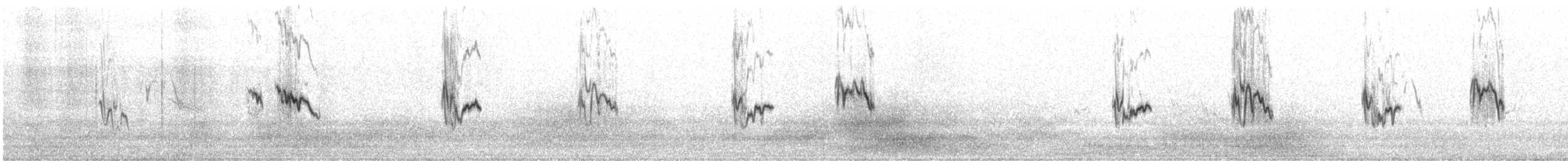 paramopiplerke (bogotensis gr.) - ML518765531