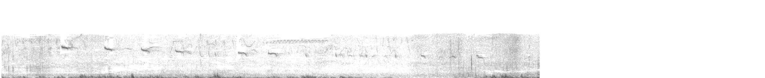 Пестрогрудый эспинеро - ML518769081