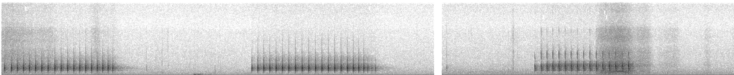 アメリカミユビゲラ - ML51877281