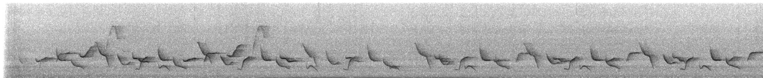 Inca Wren - ML518780381