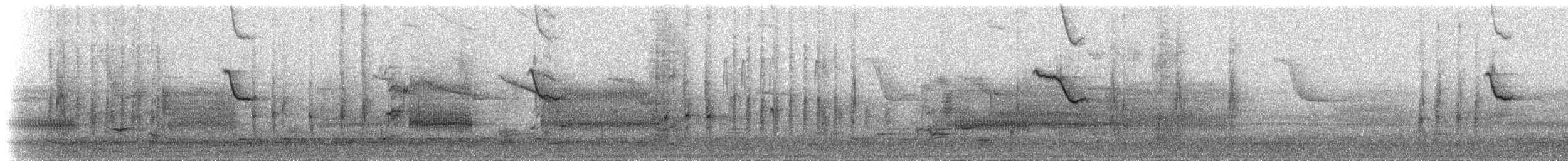 vlhovec červenokřídlý [skupina phoeniceus] - ML51879251