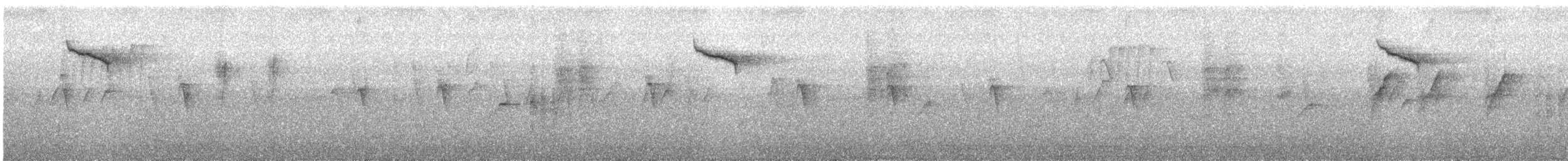 Brown-streaked Flycatcher (Brown-streaked) - ML518821121