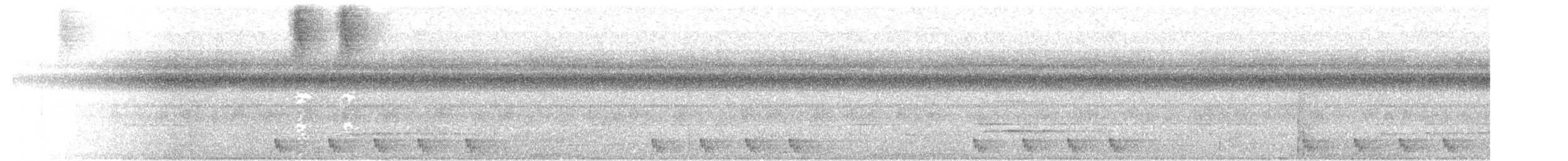 Andamanennachtschwalbe - ML518897211