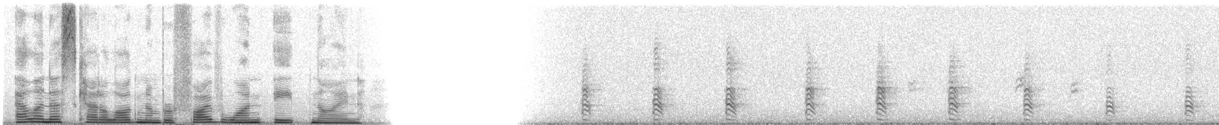 Francolin d'Erckel - ML5189