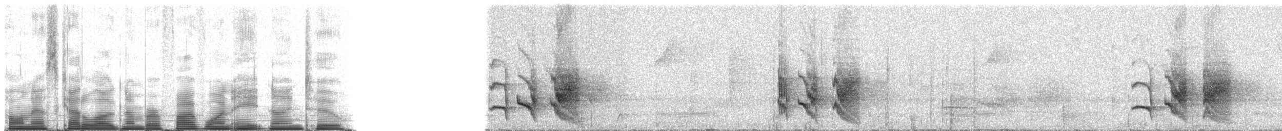 Мурав’янка-прудкокрил рондонійська - ML51892