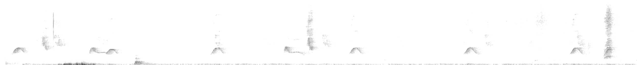 White-crested Elaenia - ML518926271