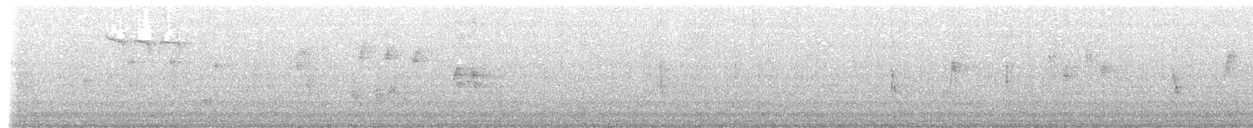 White-throated Dipper - ML518943701