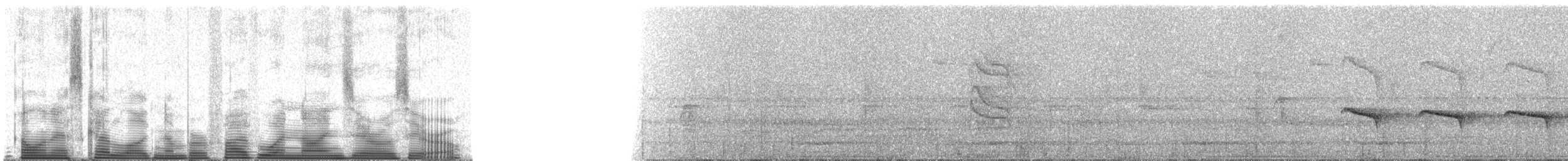 Grimpar à calotte sombre (fuscicapillus) - ML51900