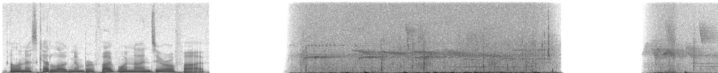 White-throated Tinamou - ML51905