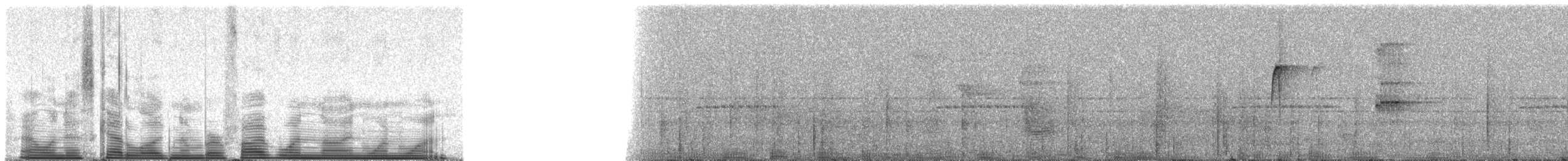 Коричневый колибри-отшельник - ML51911