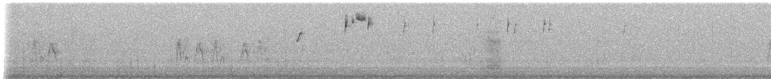 Conirostre géant - ML519118691