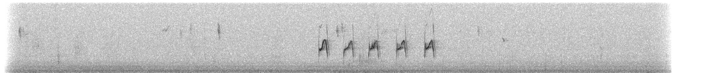 paramotyrann - ML519119471