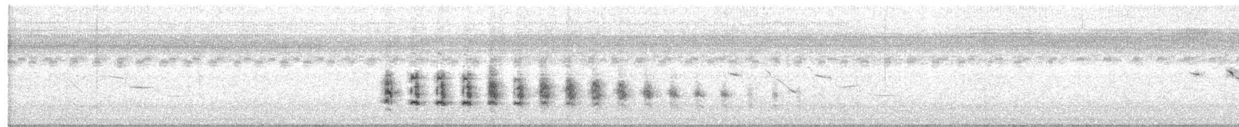 Королевский пастушок (elegans) - ML519130241