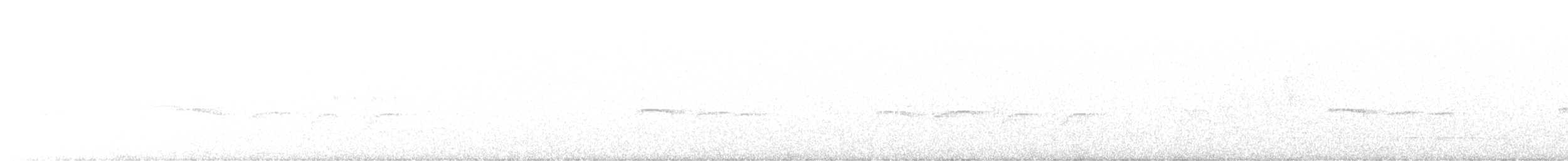 キバラメグロハエトリ（pusillum グループ） - ML519132961
