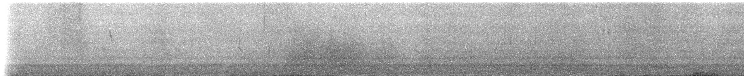 Haplospize gris-de-plomb - ML519145881