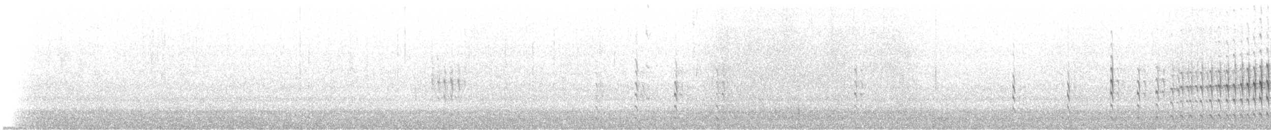 Трясохвіст бурочеревий - ML519154461