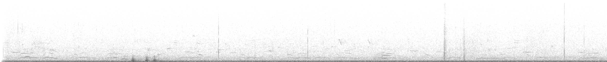 Cygne siffleur - ML519188041