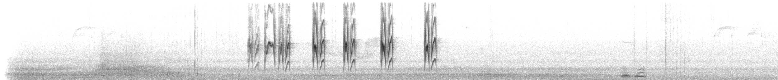 paramotyrann - ML519205931