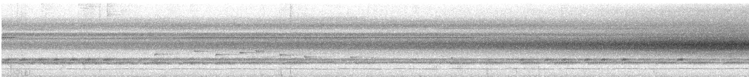 Зозуля-довгохвіст оливкова - ML519343691