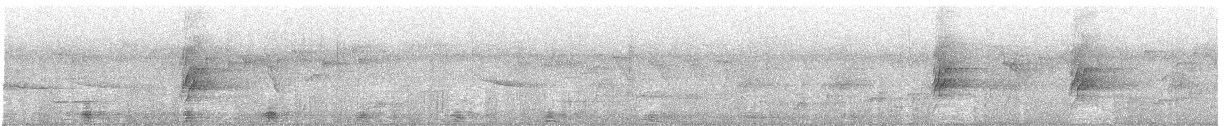 Great Hornbill - ML519404681