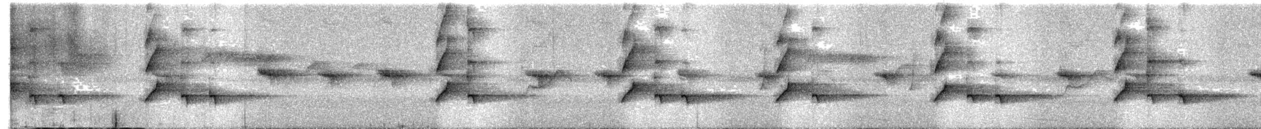 Lesser Racket-tailed Drongo - ML519407001