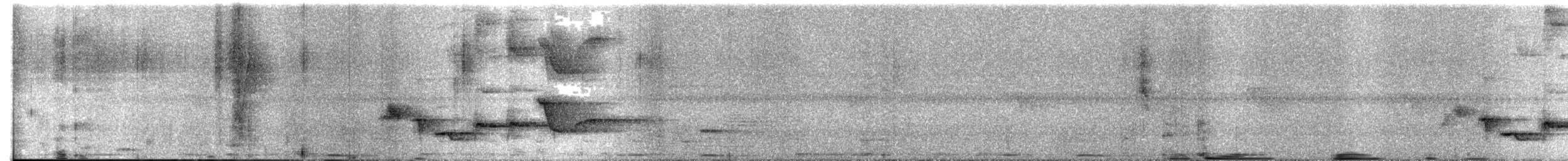 Lesser Racket-tailed Drongo - ML519407151