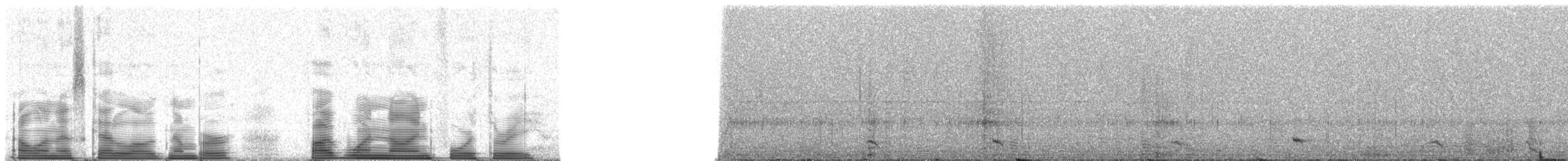 Kara Karınlı Sincap Guguğu - ML51943
