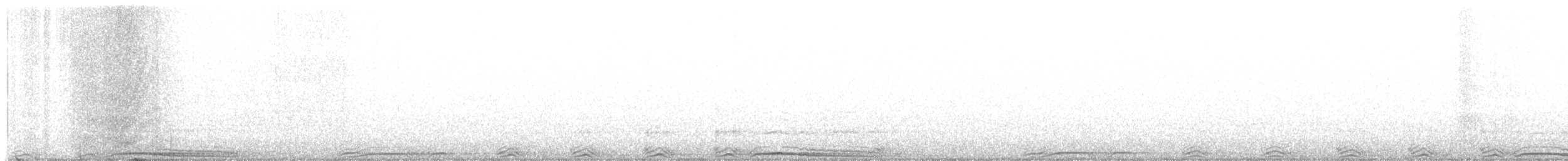 Barred Owl - ML519440051