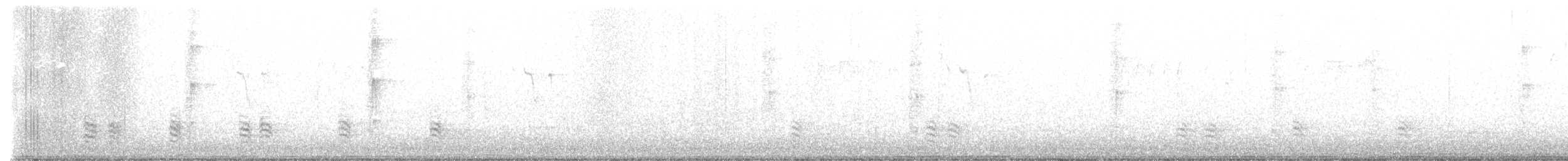 Weißbrustkleiber - ML519447671