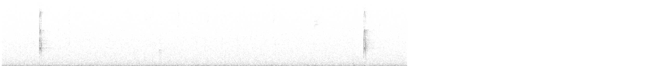 Ladder-backed Woodpecker - ML519448771