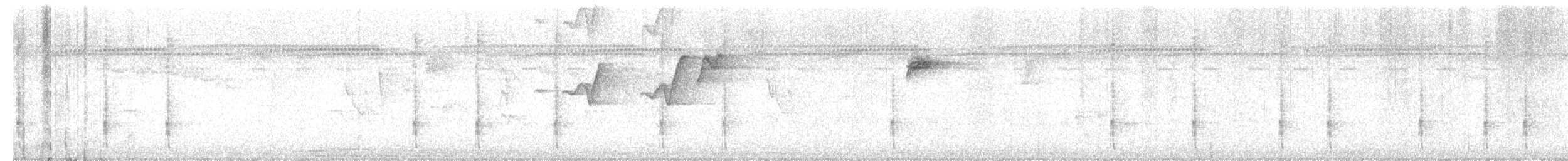 Fasciated Antshrike - ML519466251