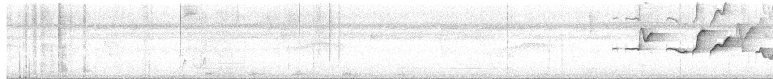 Troglodyte de Zeledon - ML519466481