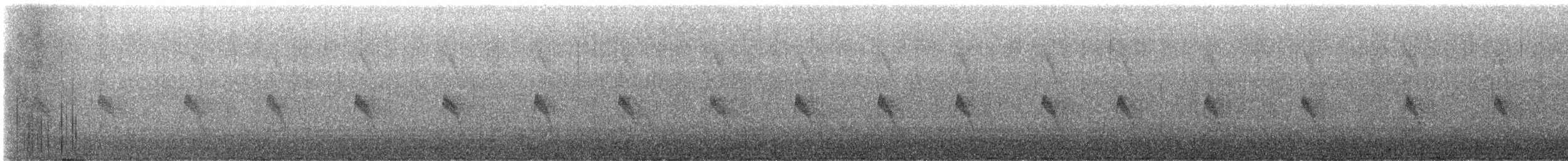 Canyon Wren - ML519473571