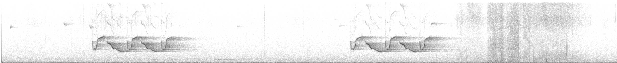 Carolina Wren - ML519497011