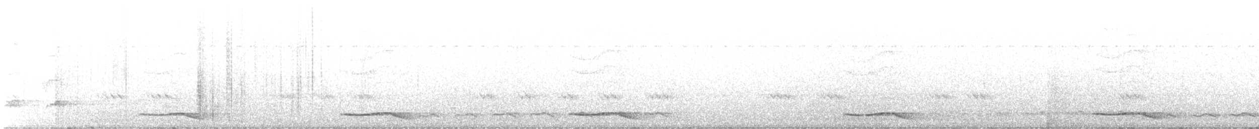 Asian Koel - ML519498351