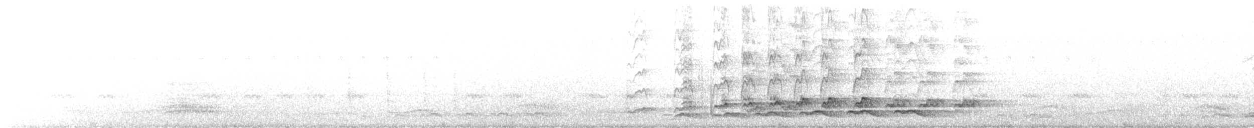 Asian Koel - ML519498361