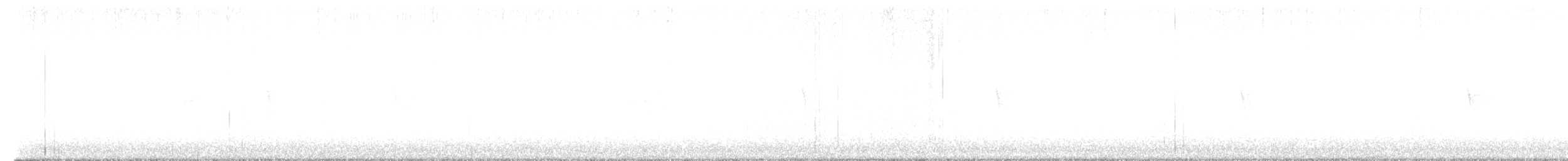 Weißbauch-Phoebetyrann - ML519511201