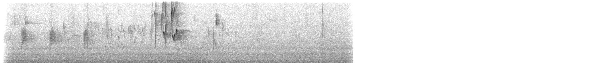 Inca violifère (osculans) - ML519628821