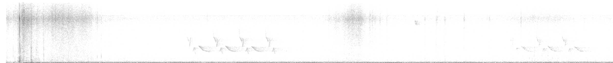Поплітник каролінський - ML519630821