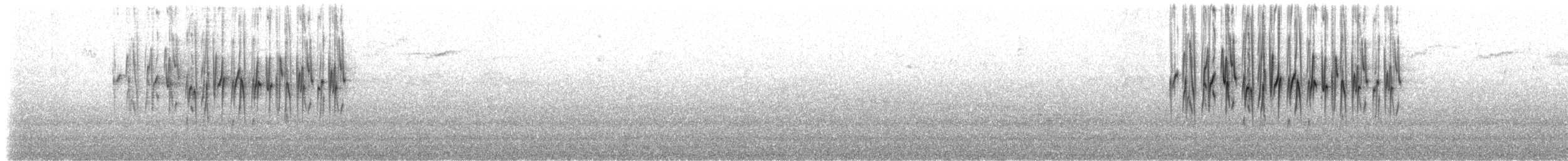 Percefleur à gorge noire (brunneiventris) - ML519633061