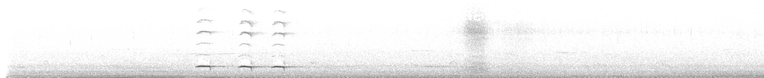 Weißflecken-Ameisenpitta - ML519644361