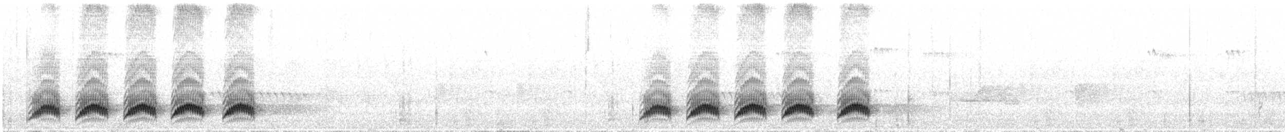Paradoxornis fléché - ML51965451