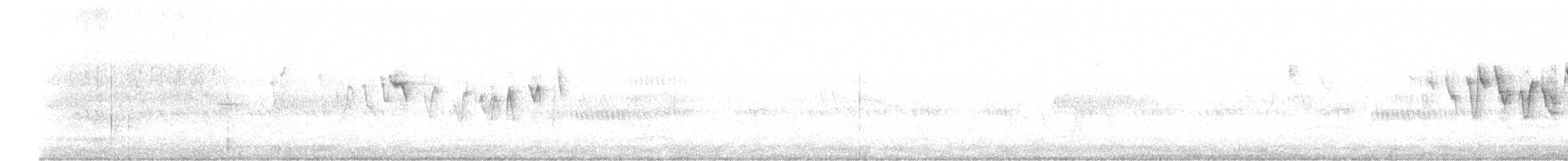 bjørkeparula (ridgwayi) - ML519675301