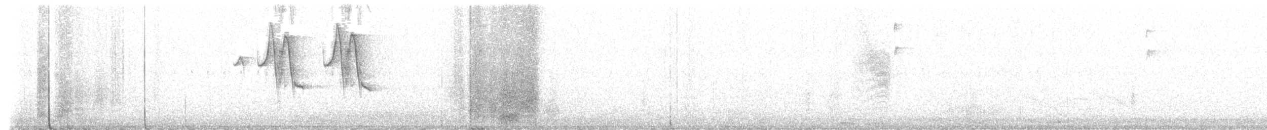 Band-tailed Sierra Finch - ML519677561
